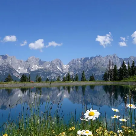 Oda ve Kahvaltı Sunnberg Going am Wilden Kaiser